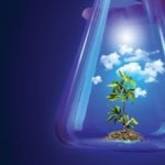GMO Update