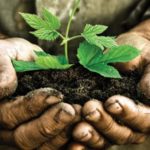 The Aging of Agriculture