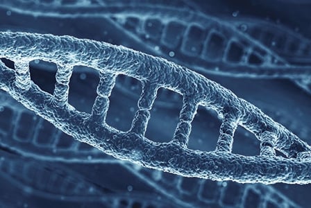 Telomere Length and Ageing